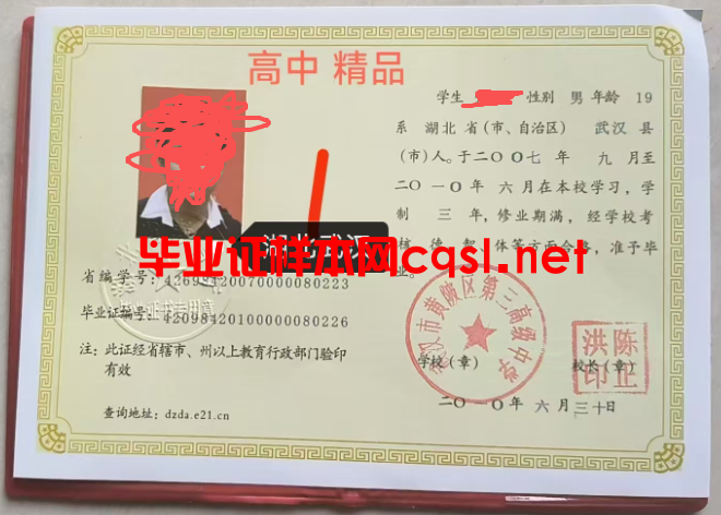 武汉2010年湖北武汉市黄陂区第三高级中学毕业证学位证模板/样本图片